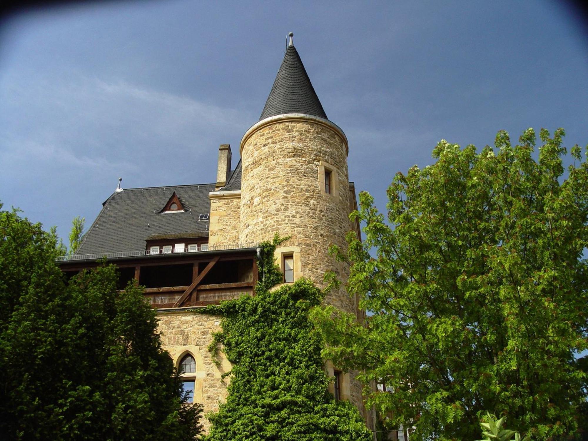 2 Zimmer Wohnung, Kueche, Bad, Balkon, Netflix Alzey Luaran gambar